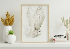 Image of a owl watercolor painting by Shayna Larsen, originals & prints available