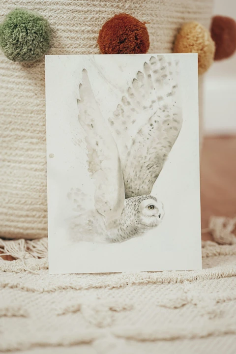 Image of a owl watercolor painting by Shayna Larsen, originals & prints available