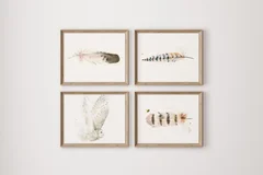 Image of a owl watercolor painting by Shayna Larsen, originals & prints available