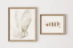 Image of a owl watercolor painting by Shayna Larsen, originals & prints available