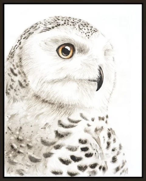 Image of a owl watercolor painting by Shayna Larsen, originals & prints available