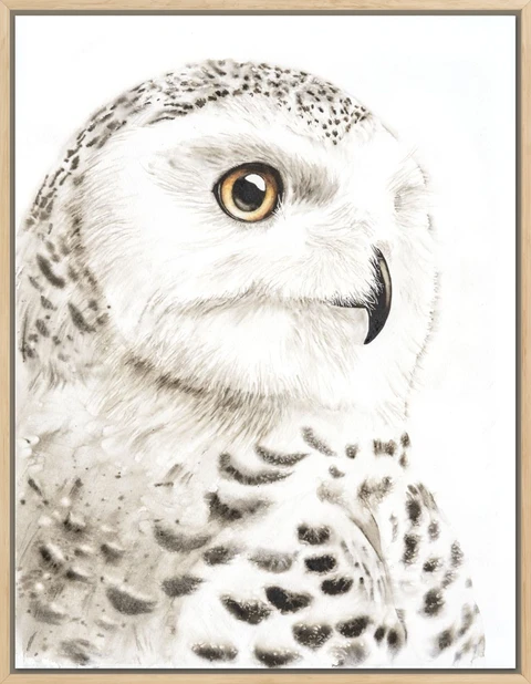 Image of a owl watercolor painting by Shayna Larsen, originals & prints available
