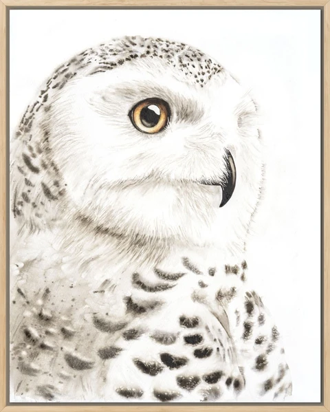 Image of a owl watercolor painting by Shayna Larsen, originals & prints available