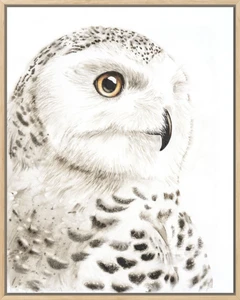 Image of a owl watercolor painting by Shayna Larsen, originals & prints available