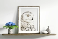 Image of a owl watercolor painting by Shayna Larsen, originals & prints available