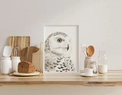 Image of a owl watercolor painting by Shayna Larsen, originals & prints available