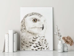 Image of a owl watercolor painting by Shayna Larsen, originals & prints available