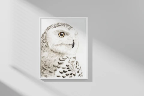 Image of a owl watercolor painting by Shayna Larsen, originals & prints available