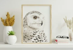 Image of a owl watercolor painting by Shayna Larsen, originals & prints available