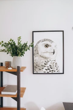 Image of a owl watercolor painting by Shayna Larsen, originals & prints available