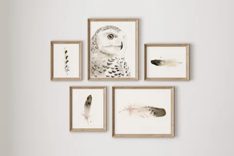 Image of a owl watercolor painting by Shayna Larsen, originals & prints available