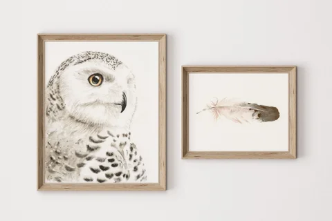 Image of a owl watercolor painting by Shayna Larsen, originals & prints available