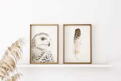 Image of a owl watercolor painting by Shayna Larsen, originals & prints available