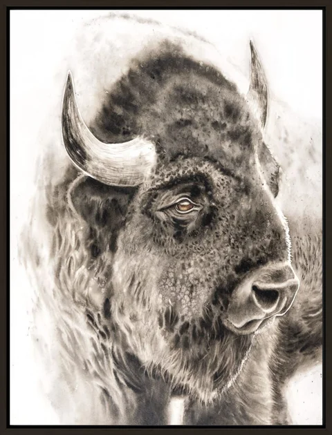 Image of a buffalo watercolor painting by Shayna Larsen, originals & prints available