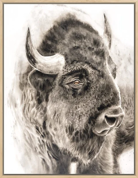 Image of a buffalo watercolor painting by Shayna Larsen, originals & prints available