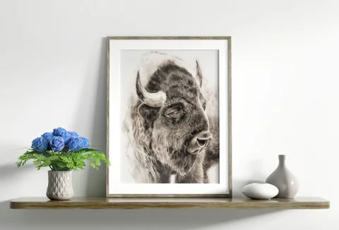 Image of a buffalo watercolor painting by Shayna Larsen, originals & prints available