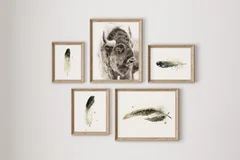 Image of a buffalo watercolor painting by Shayna Larsen, originals & prints available