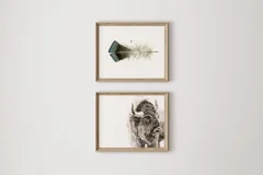 Image of a buffalo watercolor painting by Shayna Larsen, originals & prints available