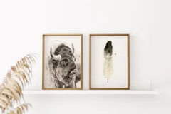 Image of a buffalo watercolor painting by Shayna Larsen, originals & prints available