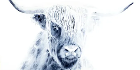 Image of a highland-cow watercolor painting by Shayna Larsen, originals & prints available
