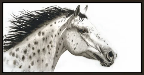 Image of a horse watercolor painting by Shayna Larsen, originals & prints available