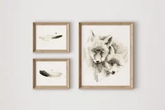 Image of a fox watercolor painting by Shayna Larsen, originals & prints available