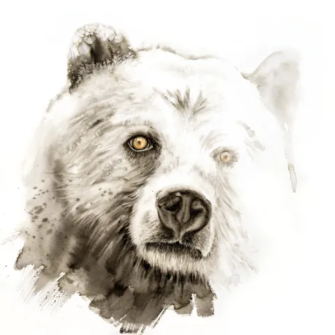 Image of a bear watercolor painting by Shayna Larsen, originals & prints available