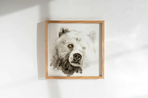 Image of a bear watercolor painting by Shayna Larsen, originals & prints available