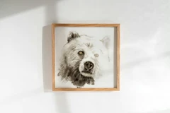Image of a bear watercolor painting by Shayna Larsen, originals & prints available